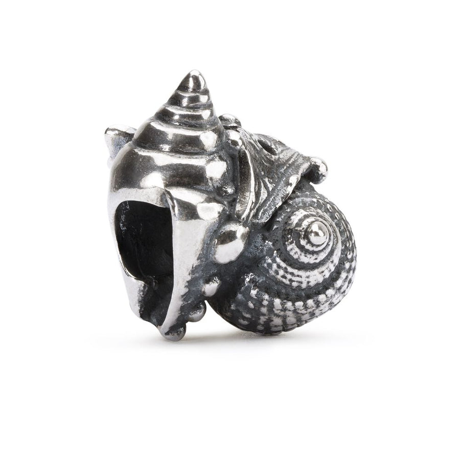 Trollbeads Mare Nel Cuore Elemento In Argento