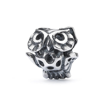 Trollbeads Gufo Saggio Elemento In Argento