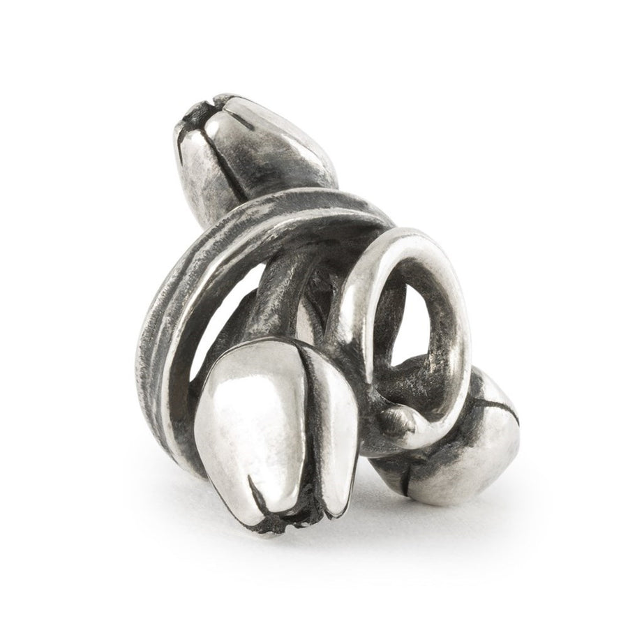 Trollbeads Tulipani Dell'Ottimismo Elemento In Argento