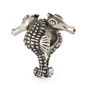 Trollbeads Guardiano Del Mare Elemento In Argento