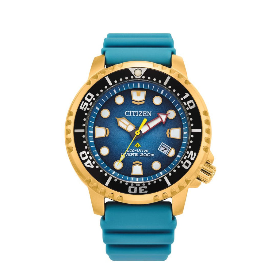 Citizen Orologio Diver's Eco Drive 200 Mt Collezione Promaster